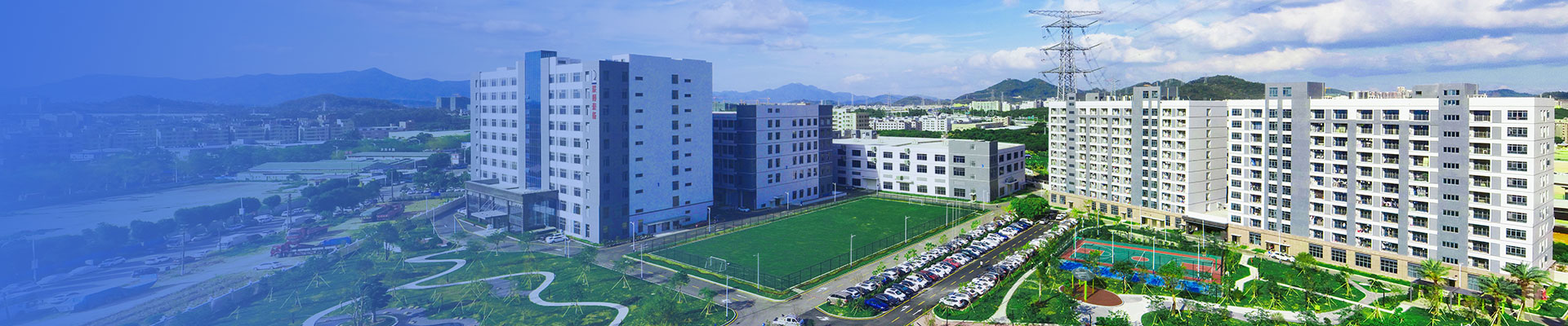 社會(huì)責(zé)任